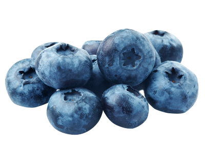 Blueberries 125g Punnet