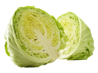 Cabbage - Half White Single