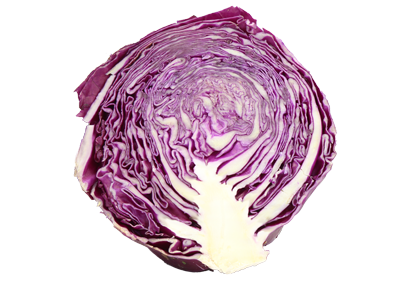 Cabbage - Half Red Single