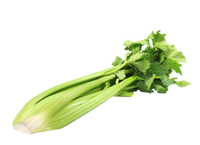 Celery - Half Single