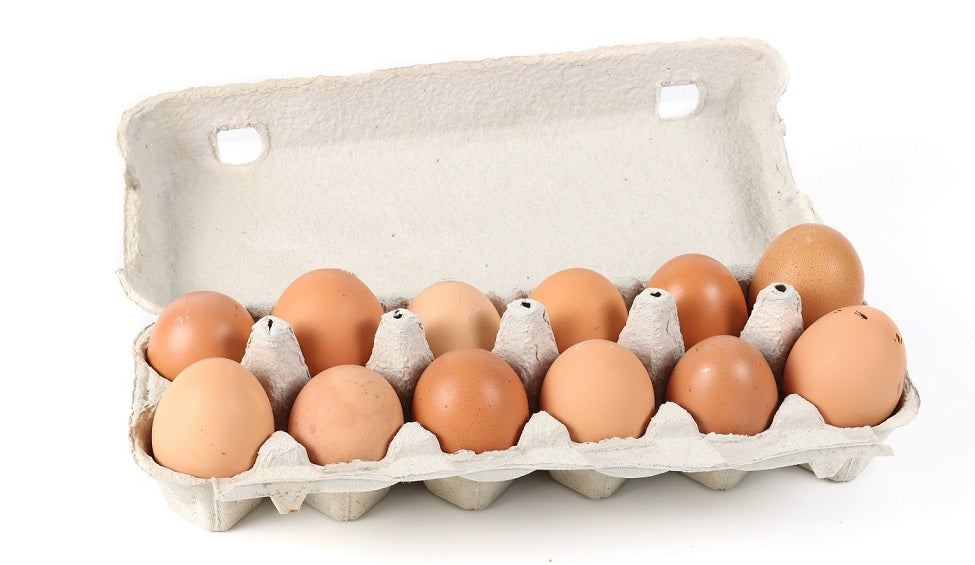 Whangaripo Free Range Eggs 12 Pack