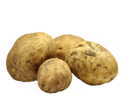 Potatoes - Agria 1kg bag