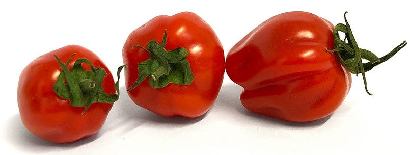 Curious Croppers Tomato Cherry Early 250g Punnet